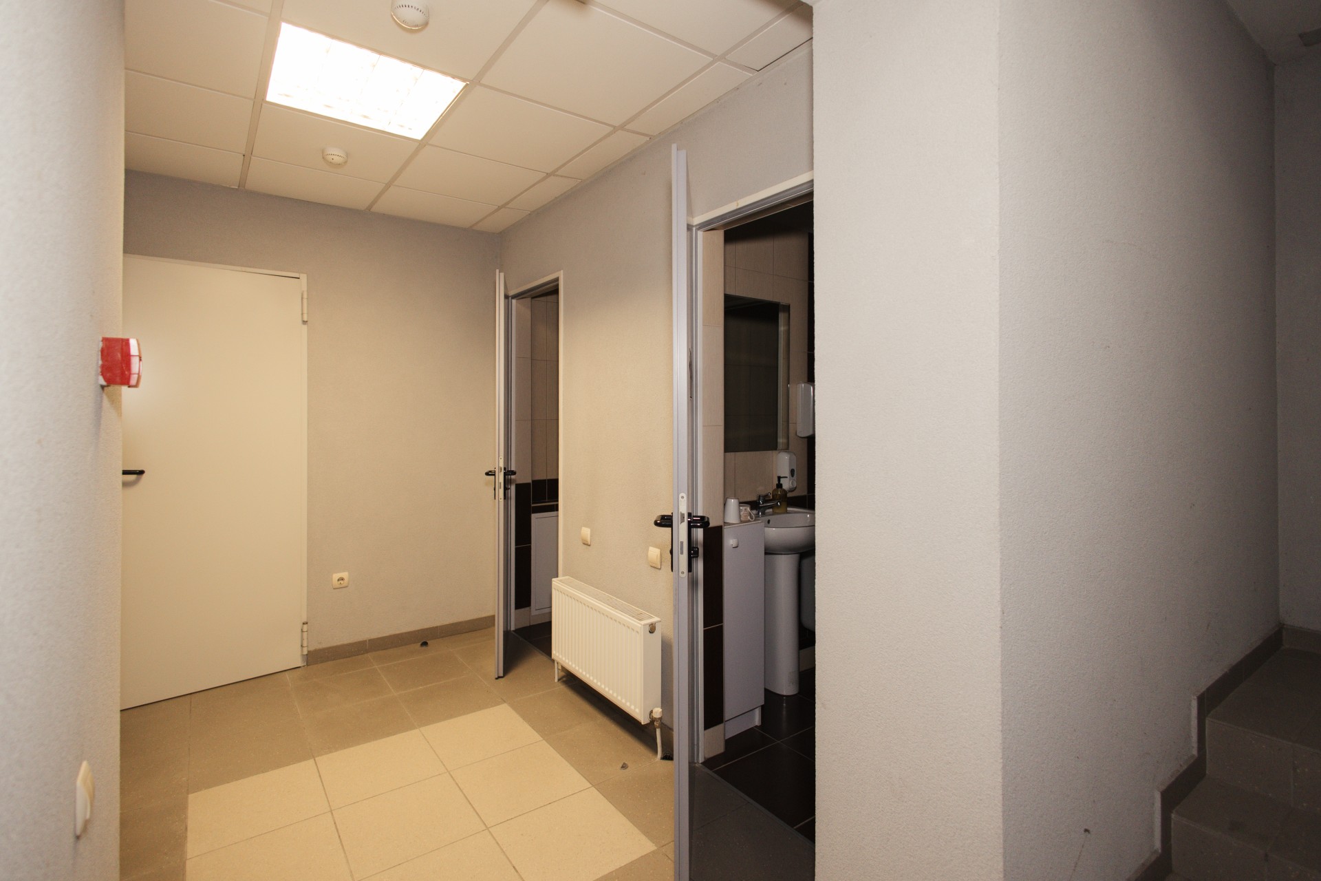 Александр Пушкин 45