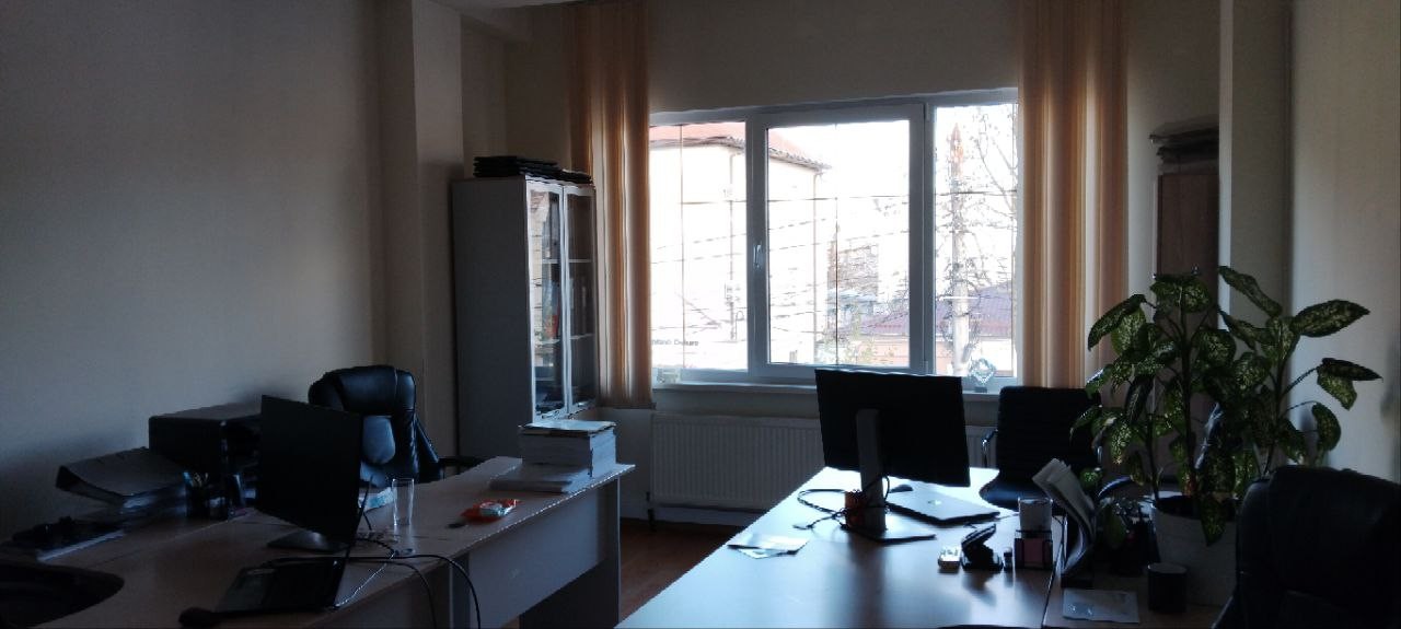 Alexei Șciusev 81/1