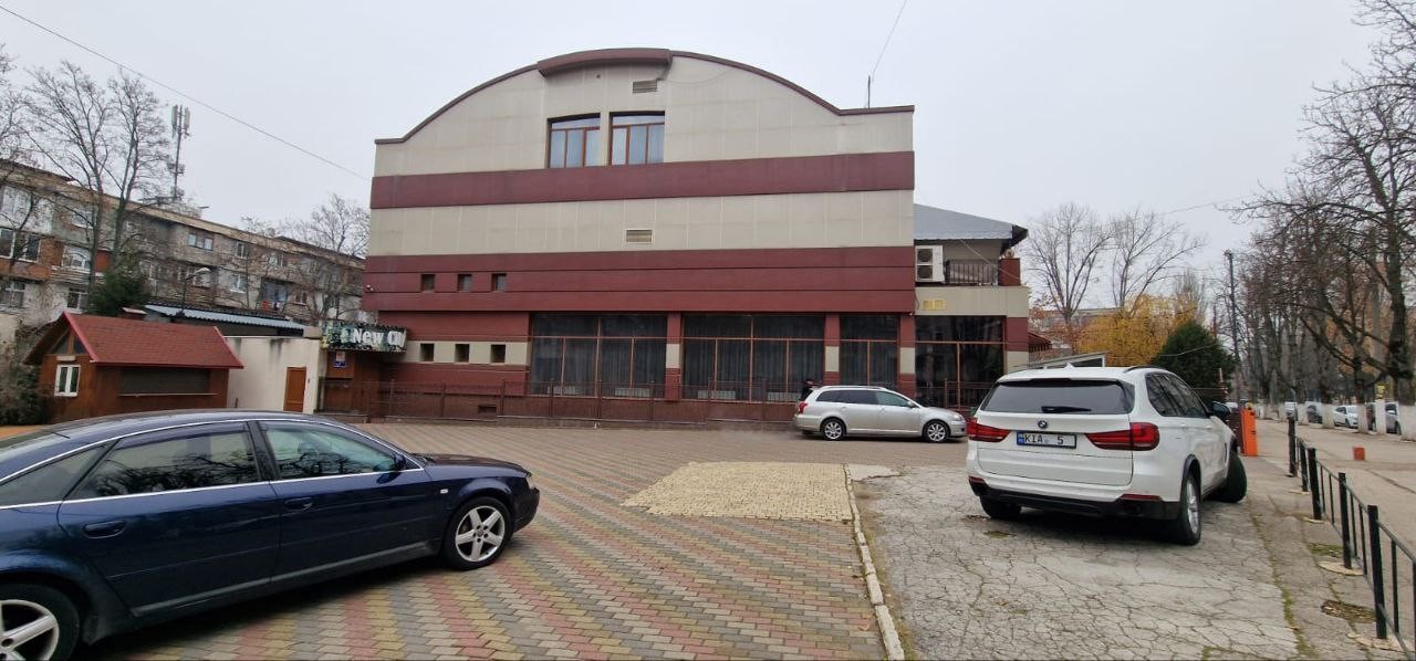 Doina și Ion Aldea-Teodorovici