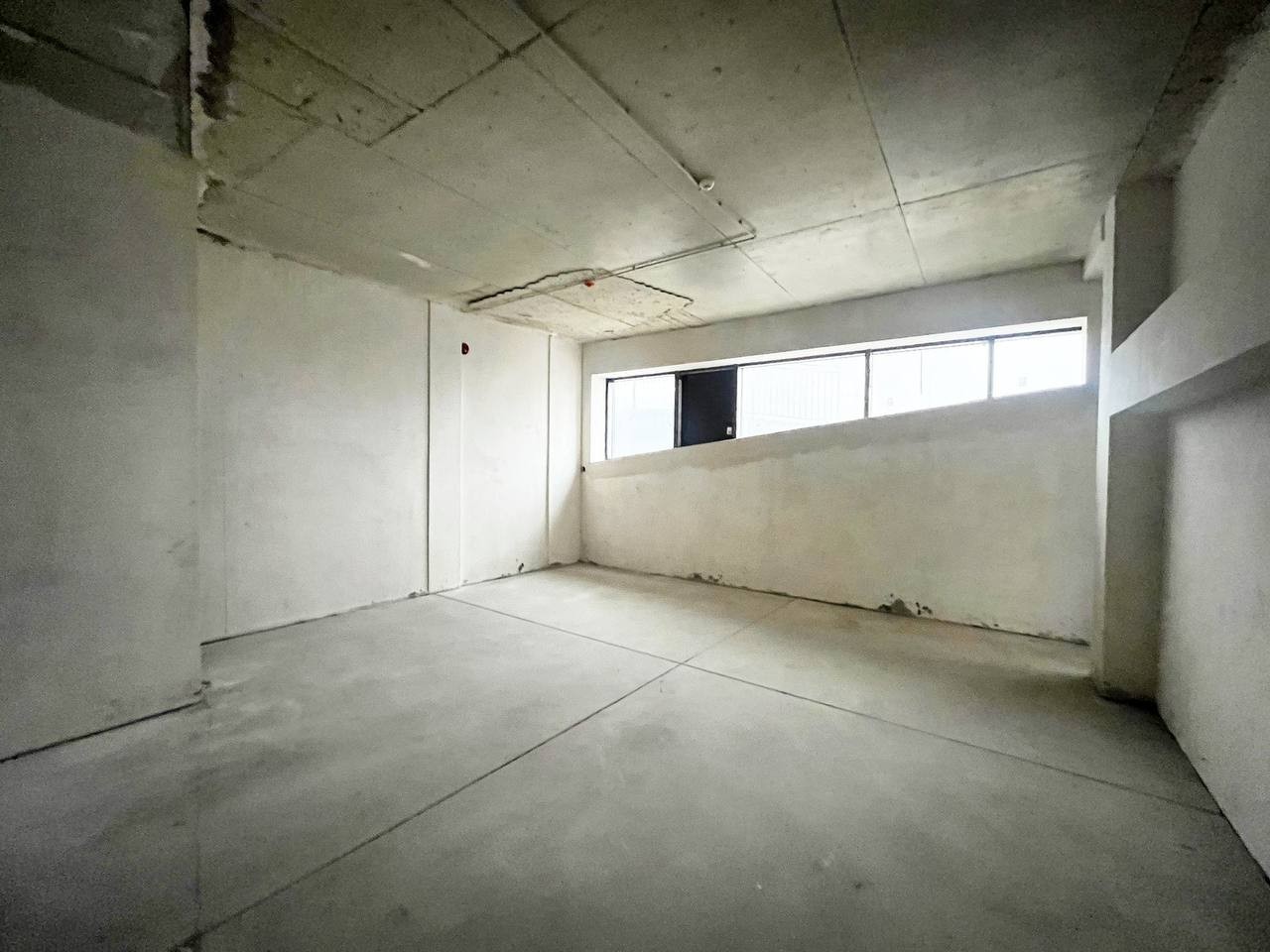 Николае Милеску Спэтарул