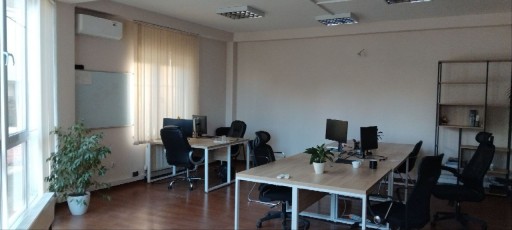 Alexei Șciusev 81/1