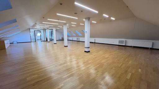 Егений Дога