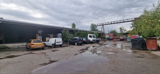 Lunca Bâcului