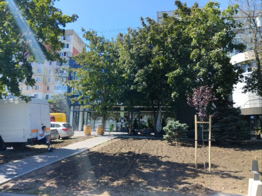 Mircea cel Bătrân 11/1