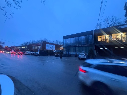 Николае Димо