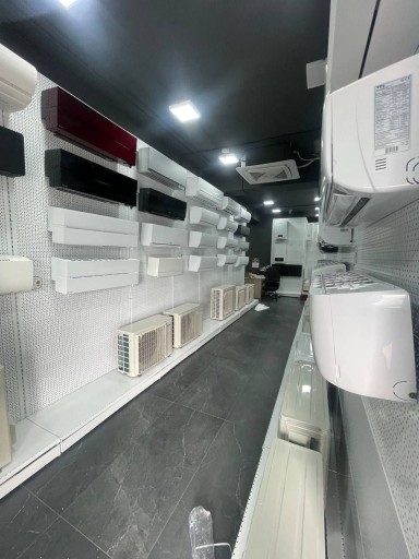 Николае Милеску Спэтарул 55