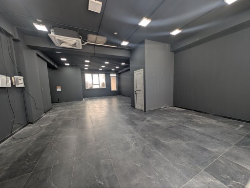 Nicolae Milescu Spătarul 55