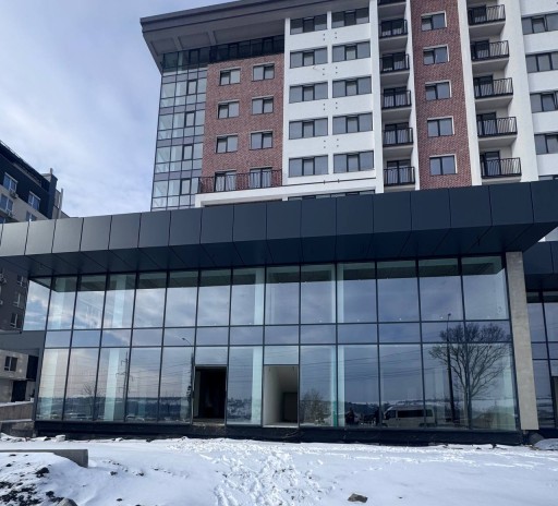 Nicolae Milescu Spătarul 57