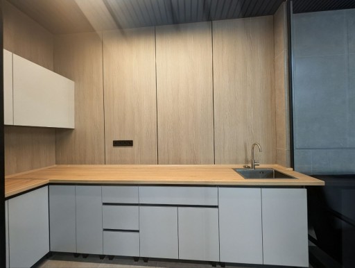 Nicolae Milescu Spătarul 63