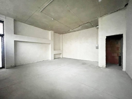 Николае Милеску Спэтарул