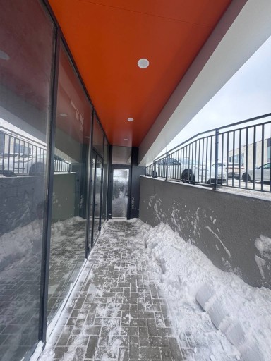 Николае Милеску Спэтарул