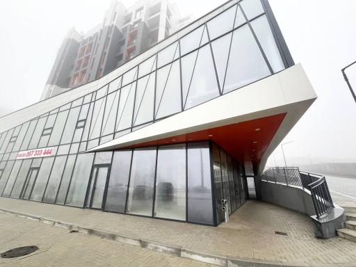 Николае Милеску Спэтарул