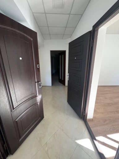str. Grigore Alexandrescu 6