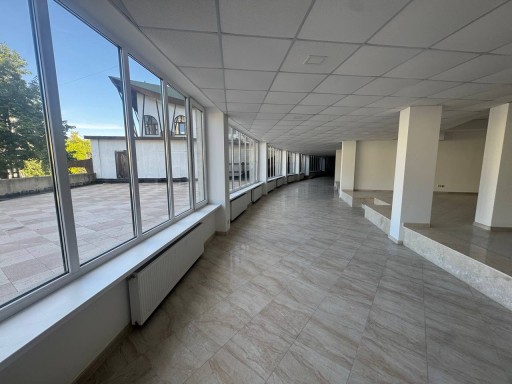 str. Grigore Alexandrescu 6