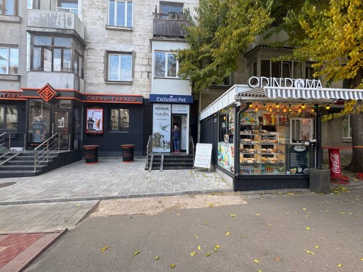 strada Tudor Vladimirescu