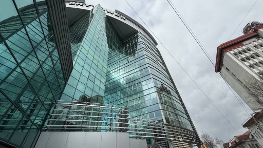 Vlaicu Pârcălab 63