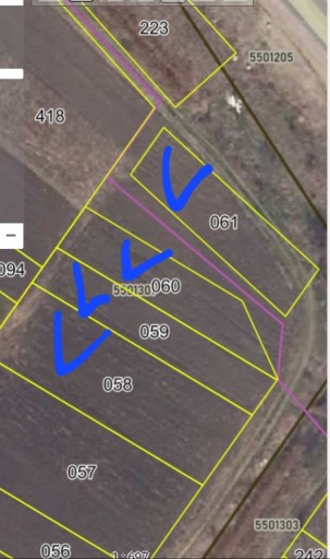 Ialoveni. Nicolae Testemițanu.