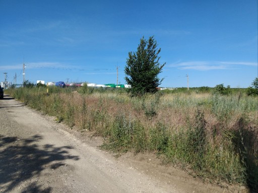 Ialoveni, sat. Suruceni