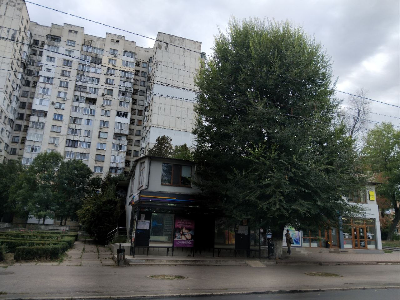Трандафирилор 15/2