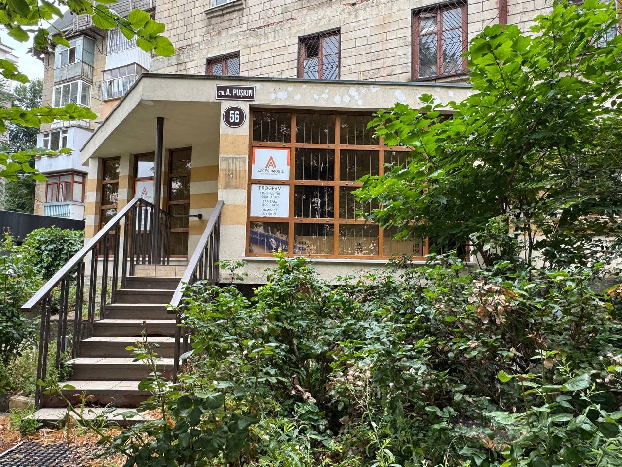 str. Alexandr Pușkin 56