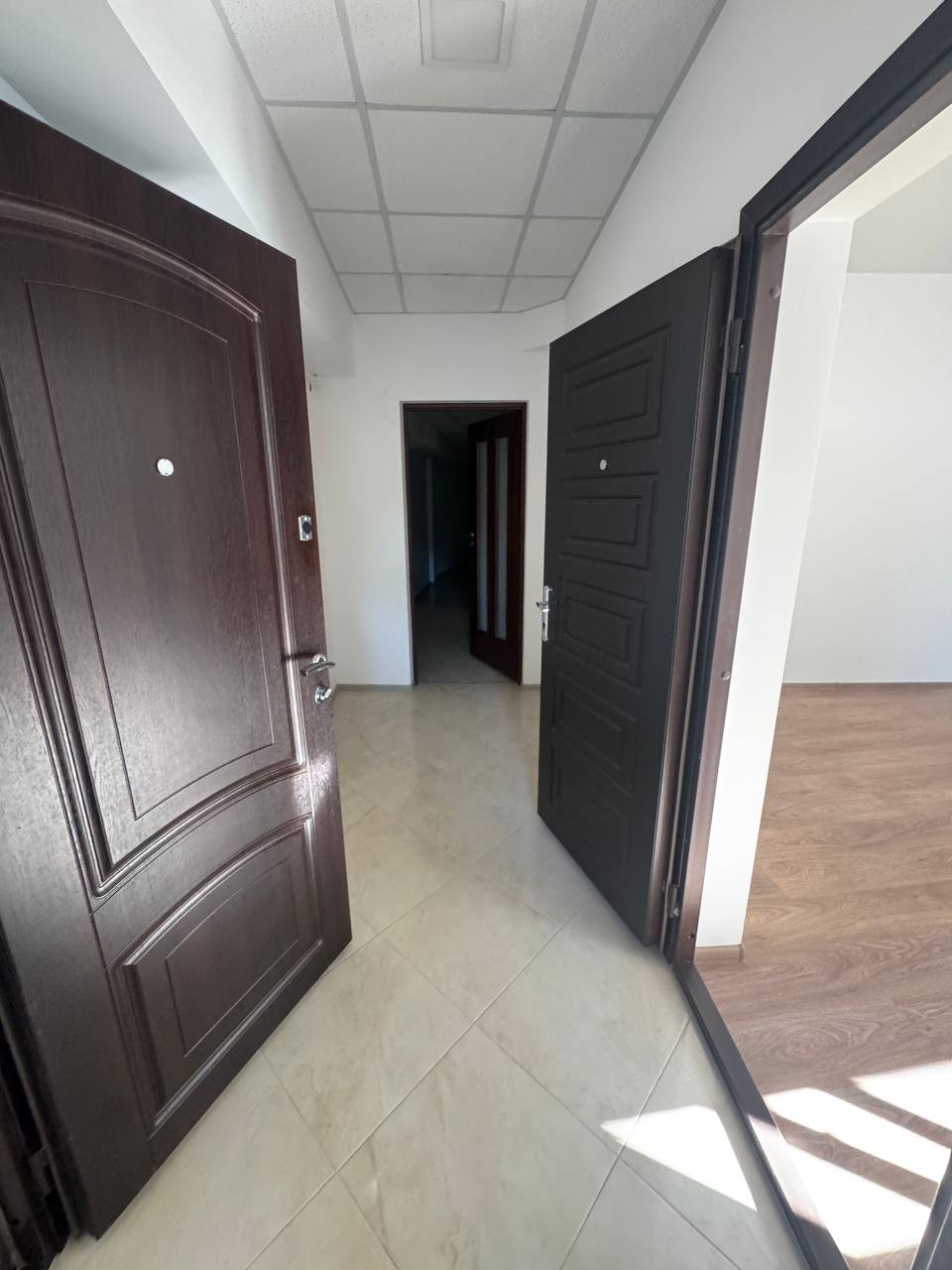 str. Grigore Alexandrescu 6