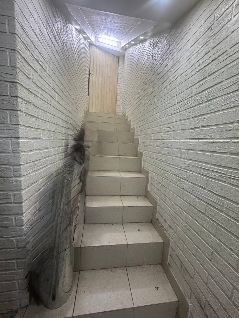 strada Tudor Vladimirescu